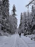 Jednodniowa Zimowa Wycieczka Szkolna Gorczański Park Narodowy i Kulig