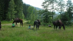 RAJD KONNY 11 DNI BIESZCZADY 2021