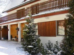 Obóz Narciarski i Snowboardowy