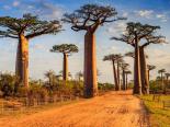 Wycieczka na Madagaskar - Wyspa Lemurów i Baobabów 16 dni 2023