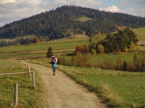 OBÓZ SKUTECZNEJ PRZEDSIEBIORCZOŚCI
