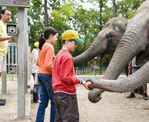 ZOO Camp na Węgrzech