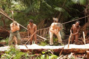 Papua Zachodnia (Irian Jaya) - Trekking + Celebes