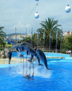 Lloret de Mar h. Montevista obóz młodzieżowy