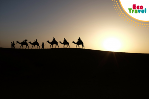 Wycieczka Emiraty Arabskie 2017