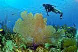 Obóz Nurkowy Open Water Diver w Grecji dla licealistów! 2025