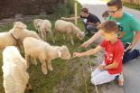 Obóz doktora Dolittle Małe Ciche 2023