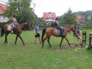 Kolonia z Jazdą Konną ZAWOJA 