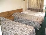 Hotel Zdravets 4*