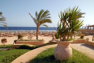 Resta Reef Resort Egipt Marsa Alam