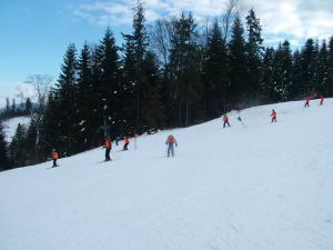 Obóz narciarsko-snowboardowy