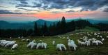 Treasures of the Pieniny Mountains Bus Tour