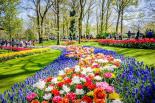 Wycieczka Amsterdam i festiwal tulipanów z NOCLEGIEM 2021