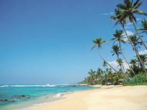 Sri Lanka Perła Oceanu Indyjskiego