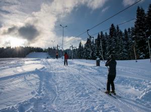 Obóz Narciarski z Bieszczadzką Adrenaliną Bieszczady Lesko 2024