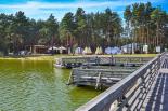 Kolonia Leśna Przygoda Janów Lubelski 2025