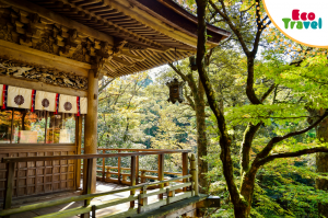 Wycieczka Japonia 2018