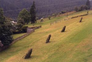 Karpaty Wschodnie