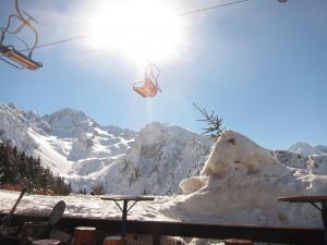 Obóz Narciarsko-Snowboardowy