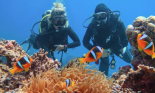 Obóz Zimowy Egipt Kair & Sharm el Sheikh - Piramidy + wypoczynek Wylot z Katowic 2026