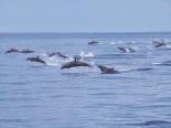Sri Lanka Perła Oceanu Indyjskiego