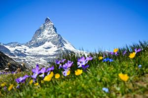 Wycieczka [PLATINUM] Szwajcaria Górska Przygoda z Czekoladą w Ręku 2023