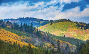 Wycieczka BESKID ŚLĄSKI I ŻYWIECKI 2018