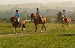 SPORT MAX
