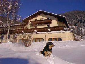 narty i snowboard