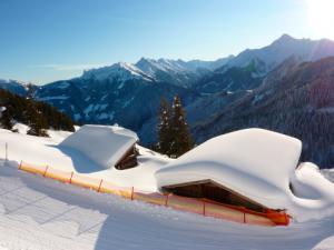 RODZINNE SKI SAFARI - AUSTRIA