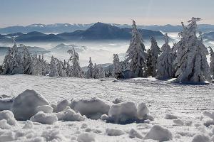 Obóz narciarsko-snowboardowy Słowacja Donovaly