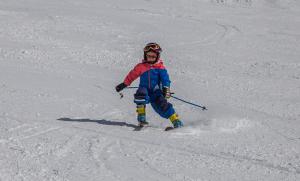 Obóz Narciarski i Snowboardowy na Kaszubach