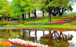 Wycieczka do Ogrodów Keukenhof + Amsterdam 3 dni