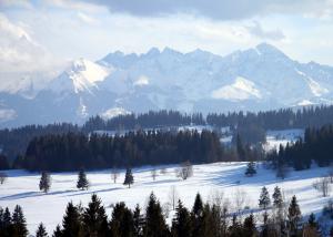 Szkółka narciarska Tatry Murzasichle