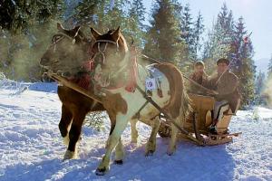 Zimowisko - Tatry - Murzasichle Fb