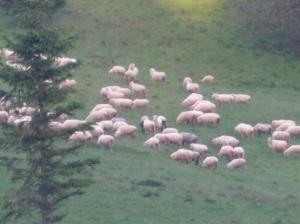 Wycieczka Szkolna 3 dni Tatry