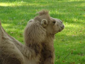 Wycieczka Szkolna do ZOO