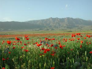 Egzotyczna Armenia