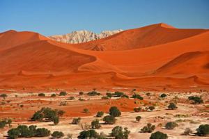 NAMIBIA - BOTSWANA - ZIMBABWE - Sylwester w Sossusvlei