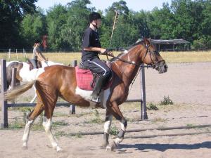 Obóz rekreacyjny z możliwością jazdy konnej (11-18 lat) - Nowęcin