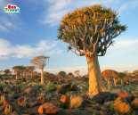 Wycieczka Namibia - Prawdziwa eksploracja Namibii!