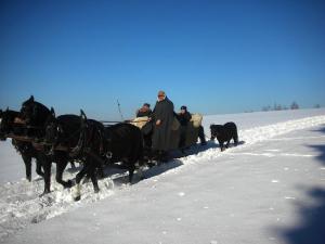 KULIG W BESKIDZIE ŚLĄSKIM