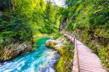 Wycieczka Objazdowa Słowenia, Chorwacja, Włochy - Istria Express 2023