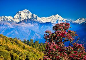 Indie + Nepal U Stóp Himalajów!