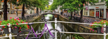 Wycieczka Parada Kwiatów w Holandii 2023