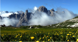 Koronkowe powłoczki Dolomity Cadore