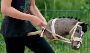 Obóz Hobby Horse Summer Camp Rogowiec 2023