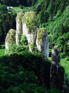Wycieczka do Ojcowskiego Parku Narodowego