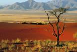 Wycieczka NAMIBIA + BOTSWANA + WODOSPADY WIKTORII Afrykańska Przygoda 2022