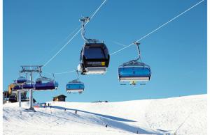 Zimowisko i Obóz Narciarsko-Snowboardowy